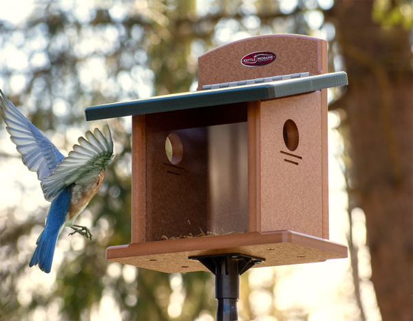 Recycled Post Mount Bluebird Feeder