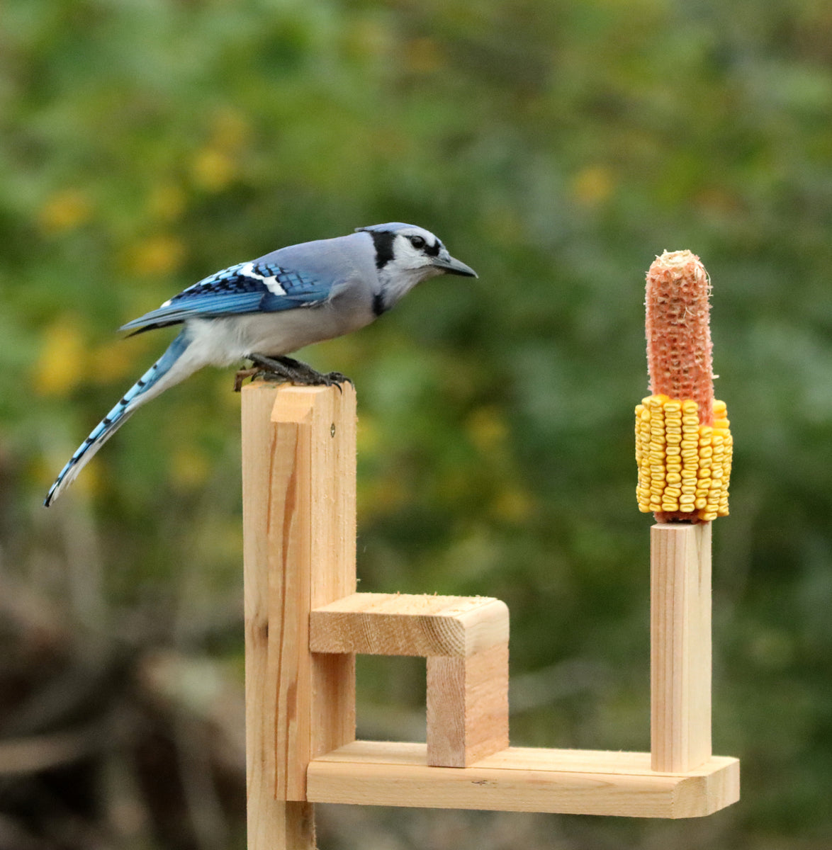 Squirrel Seat – Kettle Moraine Woodworking Inc