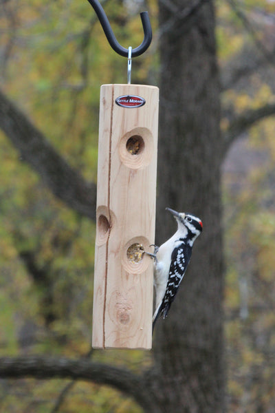 hanging cedar log feeder with woodpecker