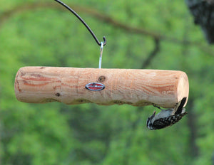 woodpecker clinging upside down to log feeder