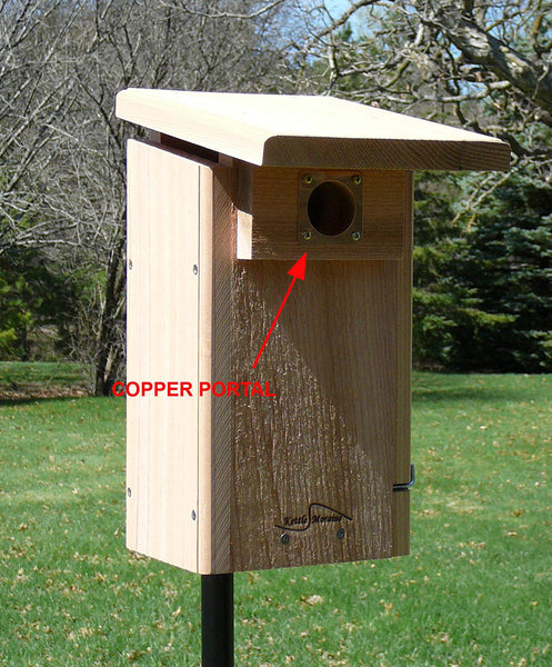 copper portal shown on bluebird nest box
