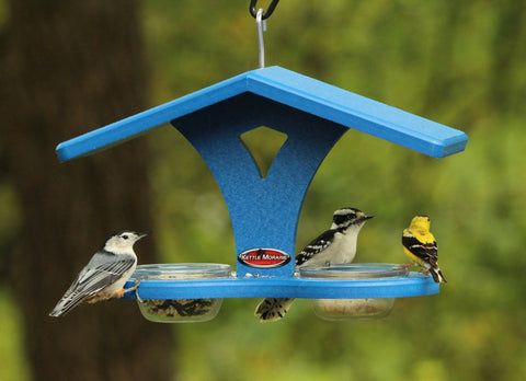 nuthatch, woodpecker, and goldfinch eating at bird feeder