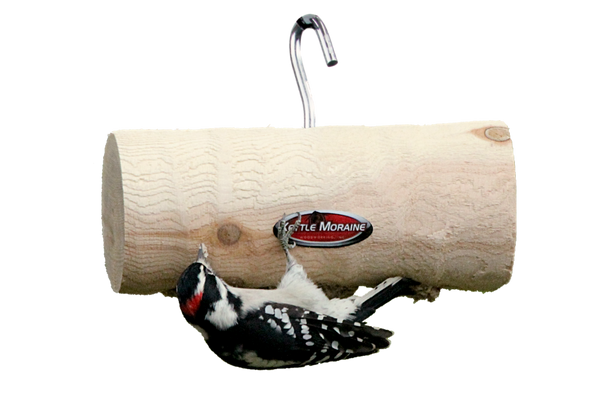 woodpecker upside down on cedar log feeder