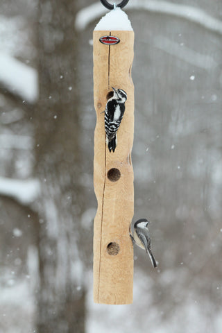 woodpecker and chickadee on log feeder in the snow