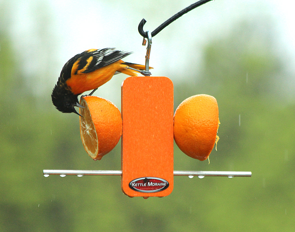 36 Bird Feeder Hanging Chain (Model# WWHANG-36-1)