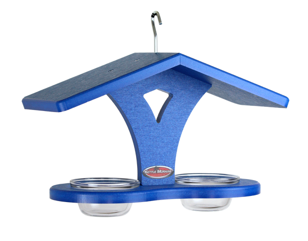 blue dish feeder for mealworms or jelly