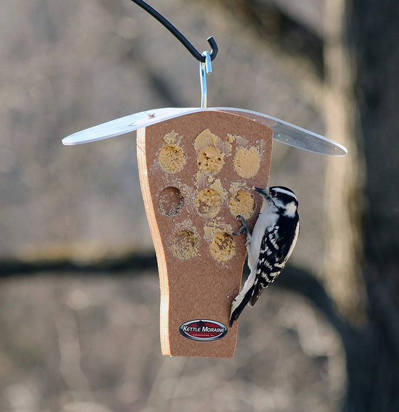 woodpecker on kettle moraine peanut butter feeder