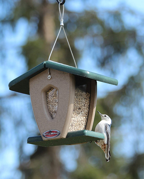 bird on kettle moraine mini hopper feeder