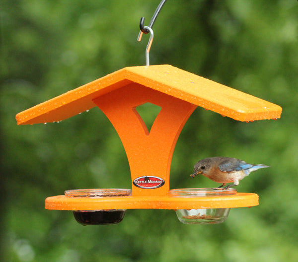 orange double cup feeder with bird