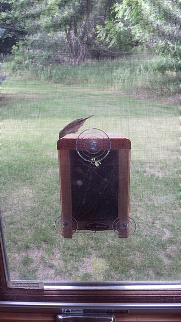 Window Nesting Box Window Mount Nest Box – Kettle Moraine Woodworking Inc