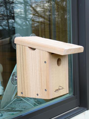 Window Mount Nest Box