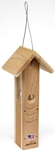 Tall cedar kettle moraine hanging woodpecker feeder