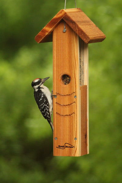 kettle moraine cedar woodpecker feeder hanging
