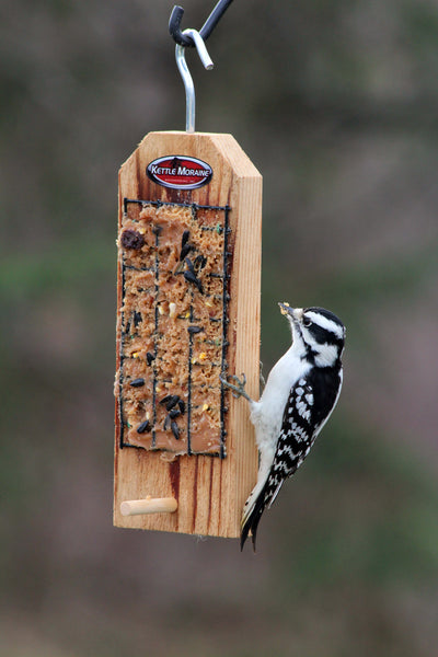 hanging suet feeder with woodpecker