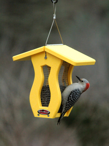 woodpecker on small yellow bird feeder
