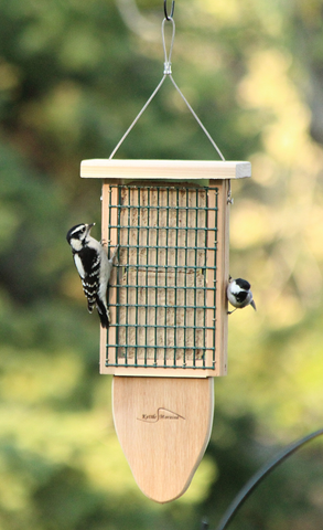 woodpecker and chickadee eating at cedar suet feeder
