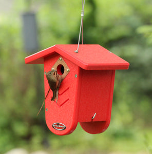 wren building nest in red bird house