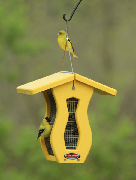 two goldfinches on yellow Kettle Moraine bird feeder